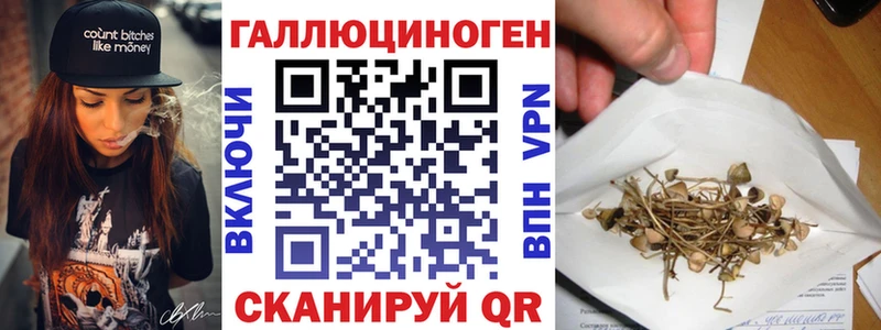 Псилоцибиновые грибы Psilocybe  Купить закладки  Ростов-на-Дону 